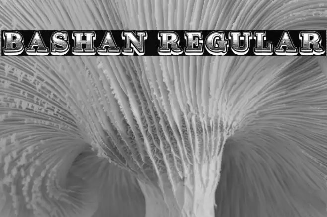 Bashan Regular Font examples