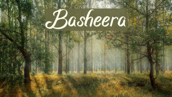 Basheera Font examples