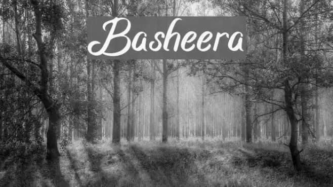 Basheera Example 2