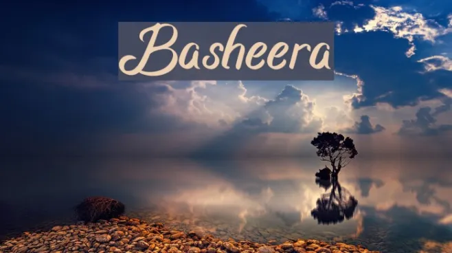 Basheera Example 3