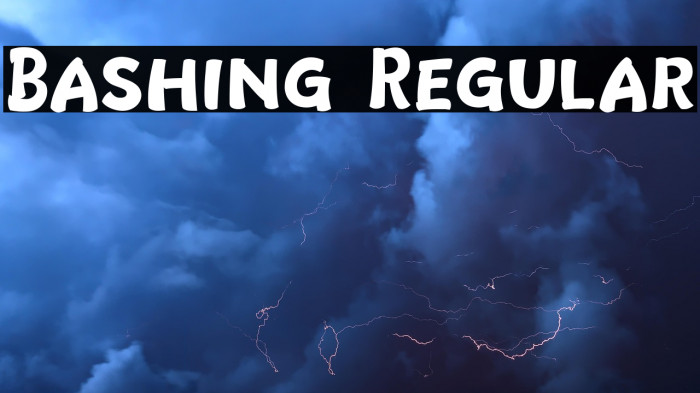 Bashing Regular Example 1