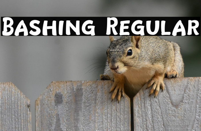 Bashing Regular Example 2