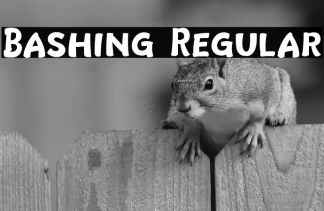 Bashing Regular Font examples