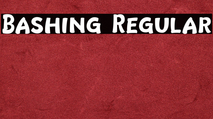 Bashing Regular Example 3