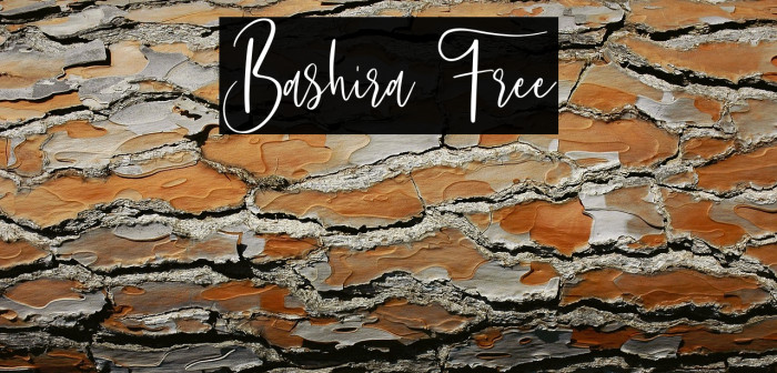 Bashira Free Example 2