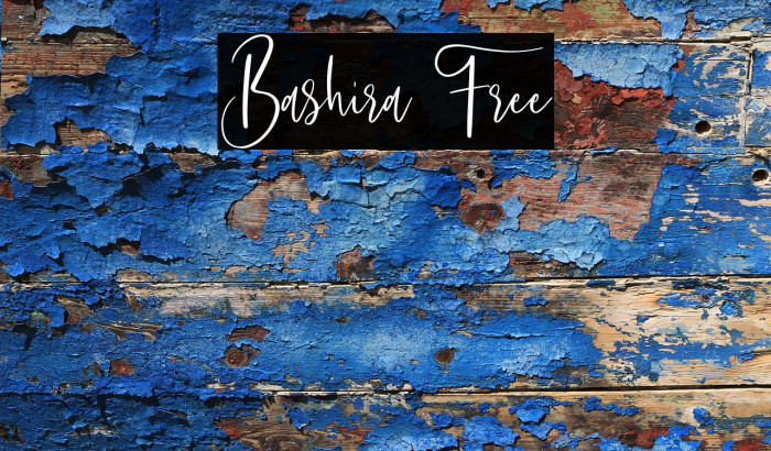 Bashira Free Example 3