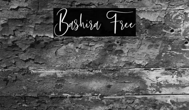 Bashira Free Example 3