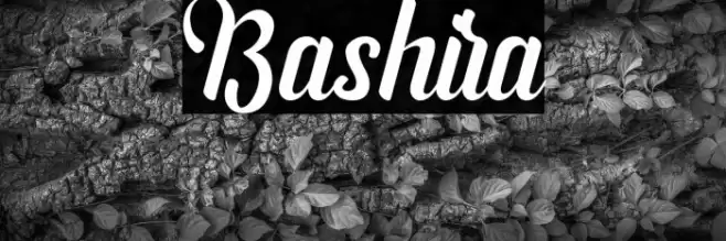Bashira Font examples