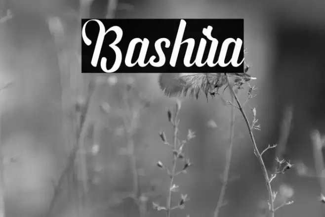 Bashira Font examples
