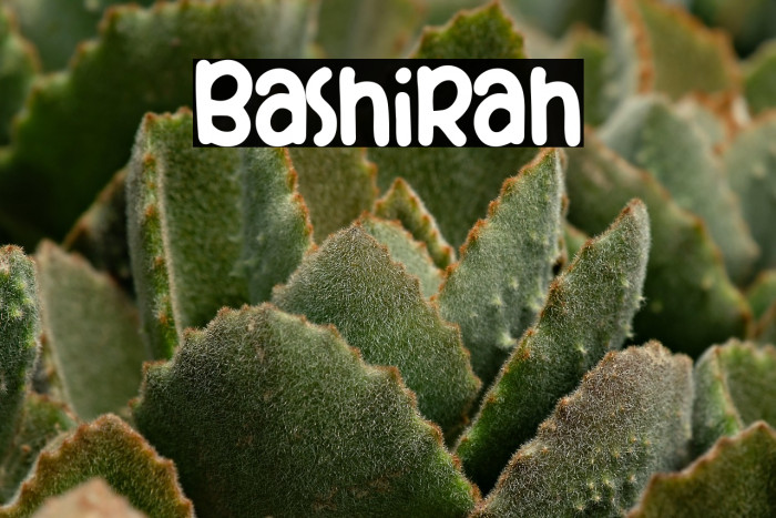 Bashirah Example 3