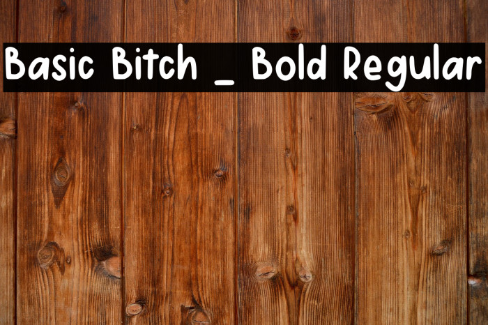 Basic Bitch _ Bold Regular Example 1
