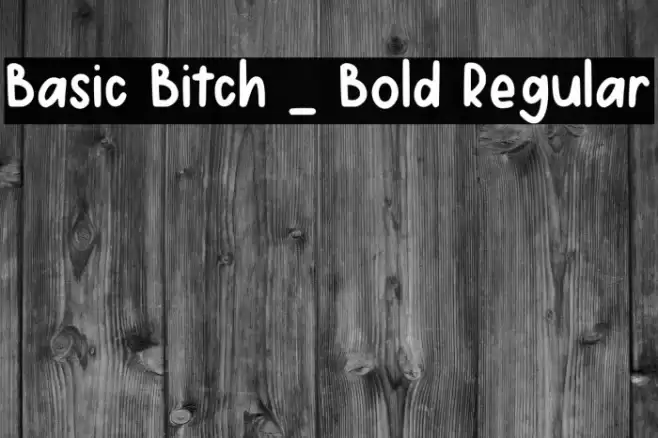 Basic Bitch _ Bold Regular Fonte examples