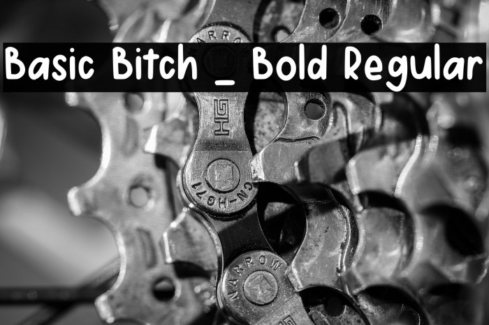 Basic Bitch _ Bold Regular Example 2