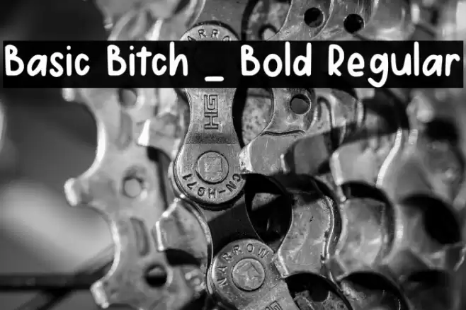 Basic Bitch _ Bold Regular Fonte examples