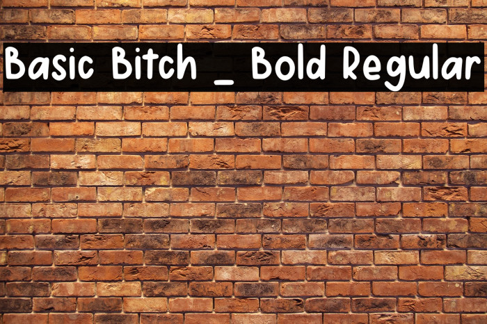 Basic Bitch _ Bold Regular Example 3