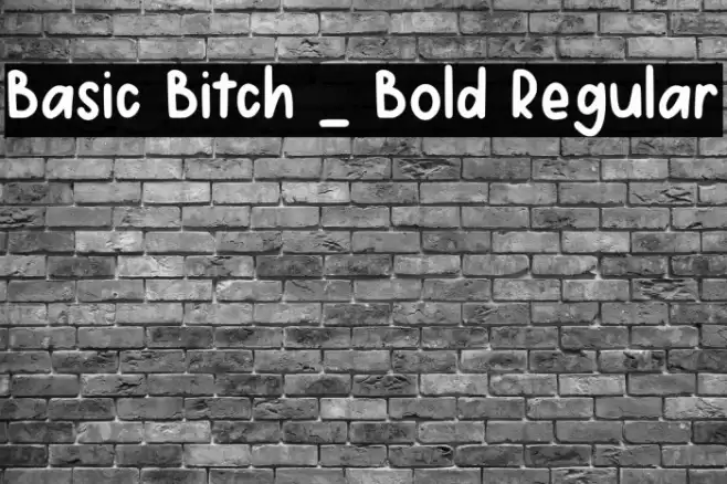 Basic Bitch _ Bold Regular Fonte examples