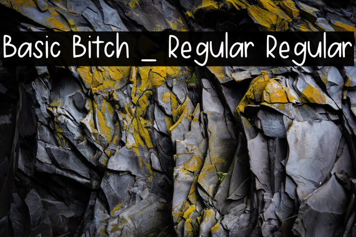 Basic Bitch _ Regular Regular Example 1