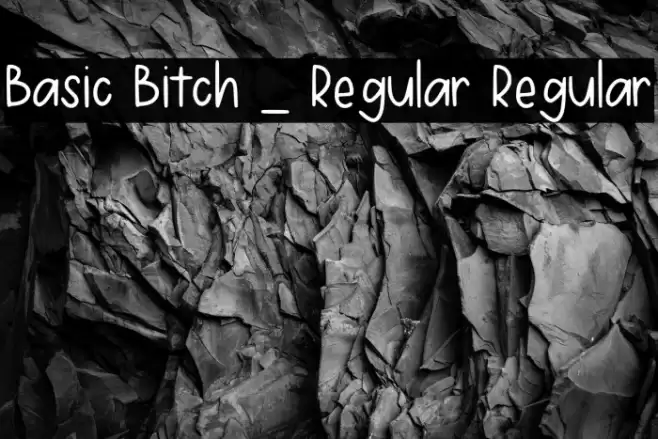 Basic Bitch _ Regular Regular Fonte examples