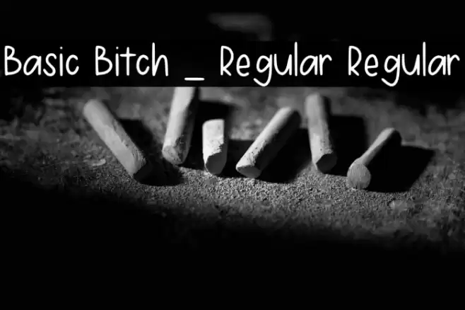 Basic Bitch _ Regular Regular Fonte examples