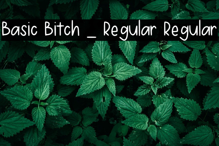 Basic Bitch _ Regular Regular Example 3