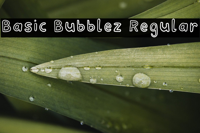 Basic Bubblez Regular Example 1