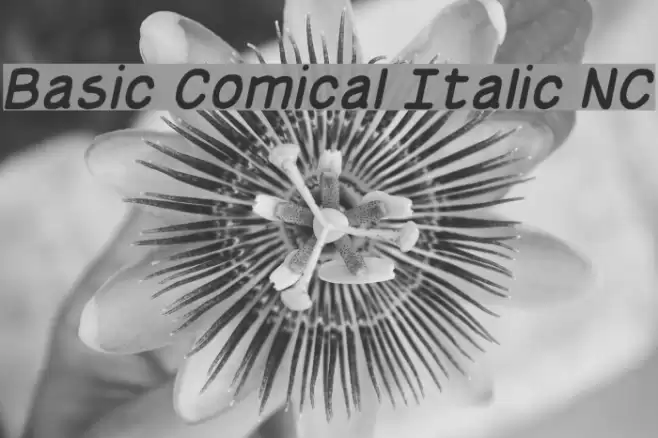 Basic Comical Italic NC Schriftart examples