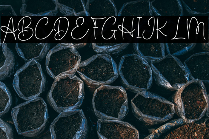 Basic Confident Demo Example 3