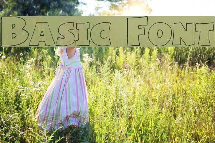Basic Font Font examples