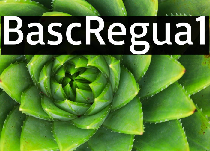 Basic Regular1 Example 1