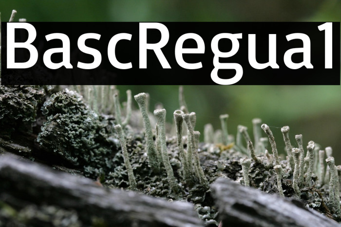 Basic Regular1 Example 2