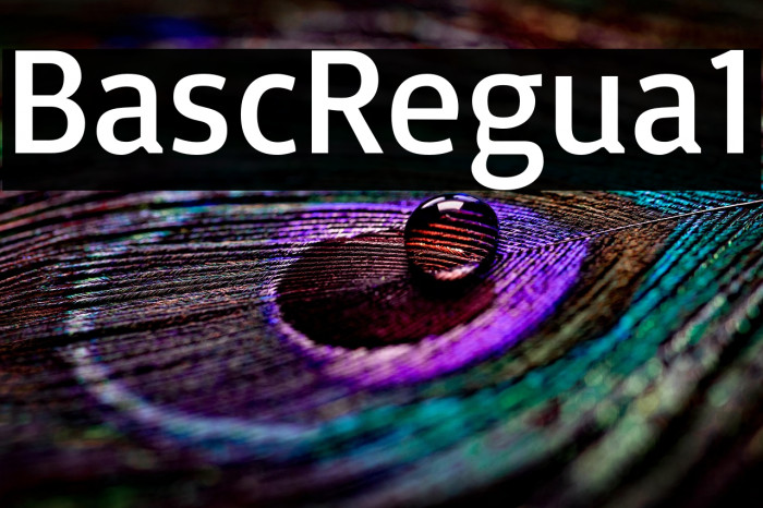 Basic Regular1 Example 3