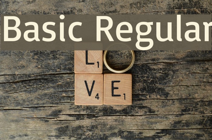 Basic Regular Font examples