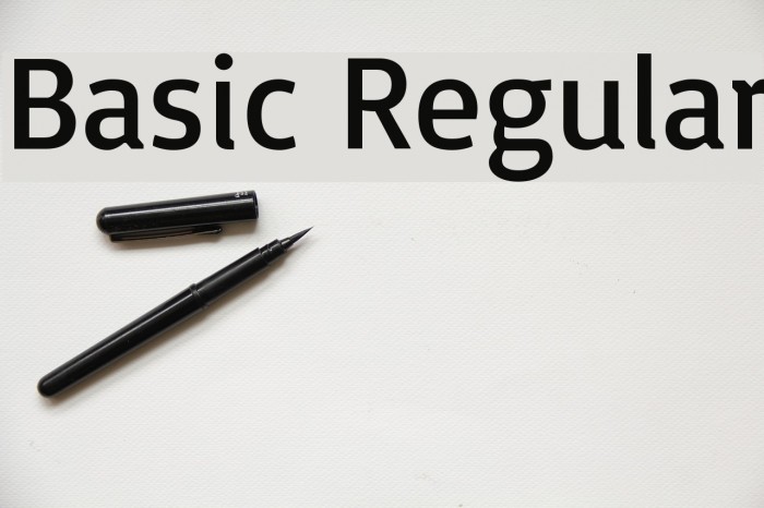 Basic Regular Font examples