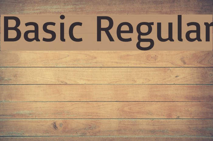 Basic Regular Font examples