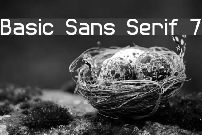 Basic Sans Serif 7 Font examples