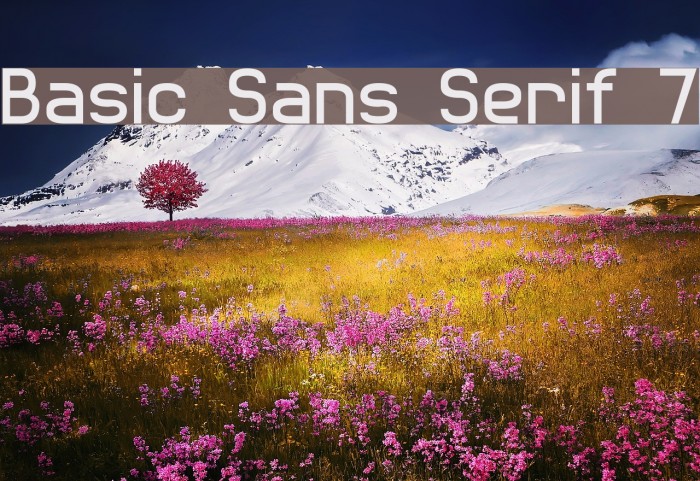 Basic Sans Serif 7 Font examples