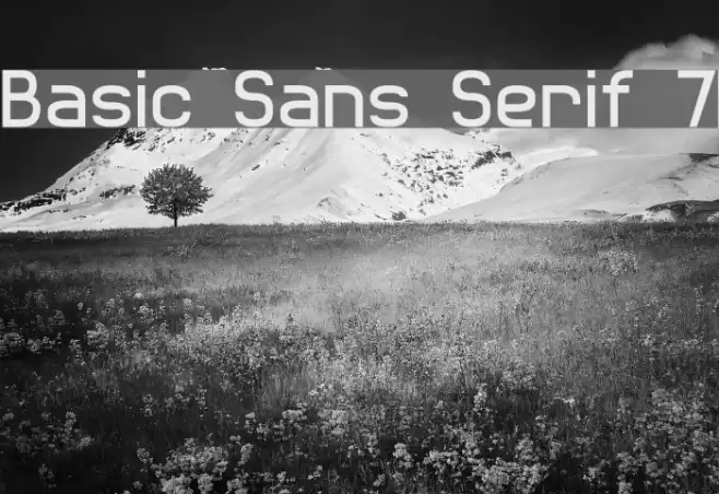 Basic Sans Serif 7 Font examples