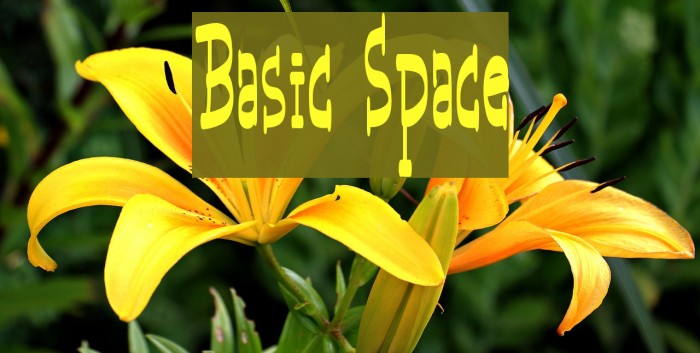 Basic Space Font examples