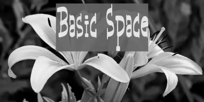 Basic Space Example 1