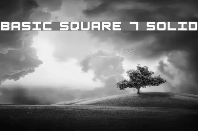 Basic Square 7 Solid Font examples
