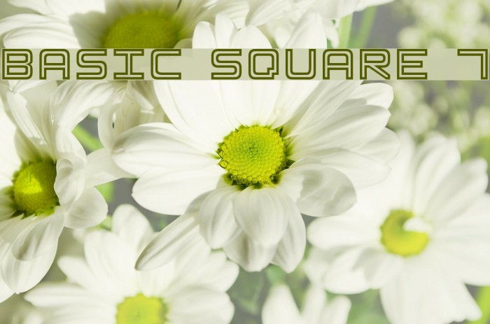 Basic Square 7 Font examples