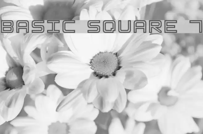 Basic Square 7 Example 1