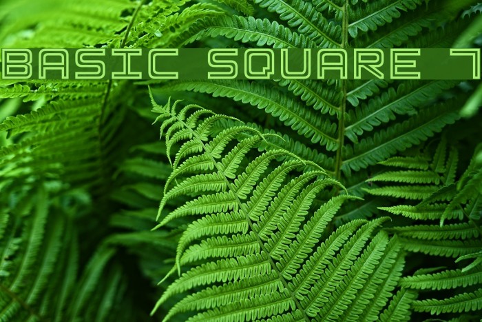 Basic Square 7 Font examples