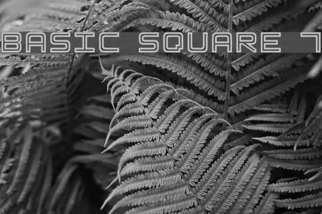 Basic Square 7 Example 2