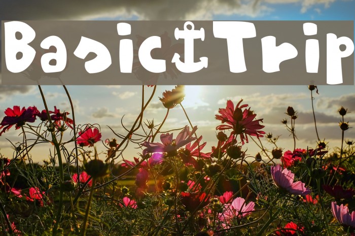 Basic-Trip Font examples