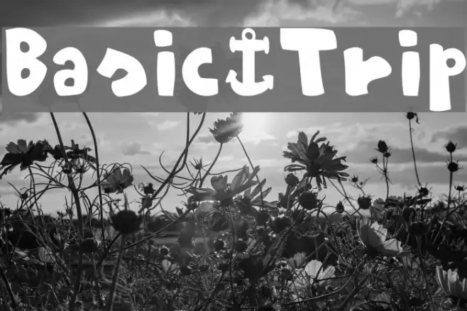 Basic-Trip Example 1