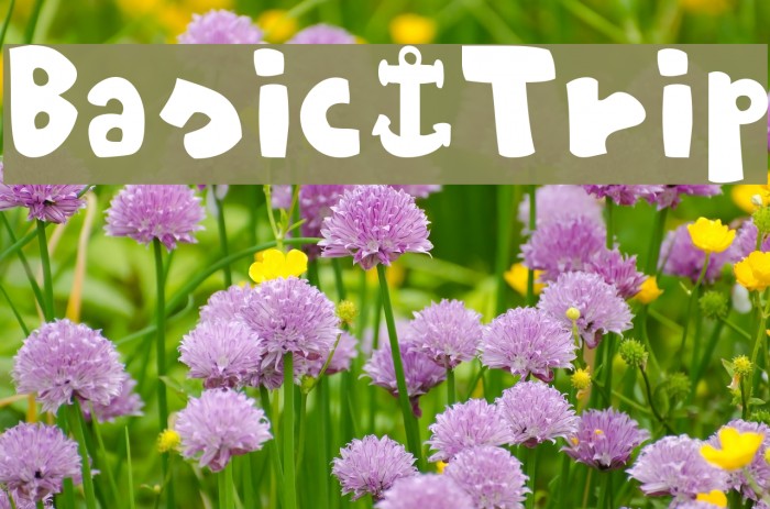 Basic-Trip Font examples