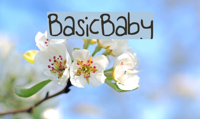 BasicBaby Example 1