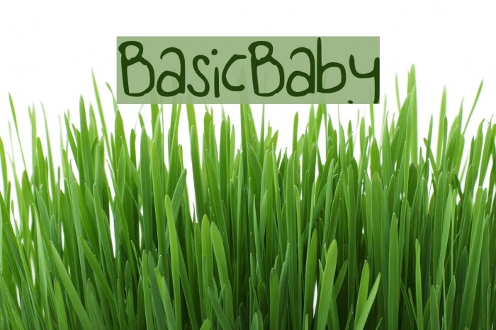 BasicBaby Example 2