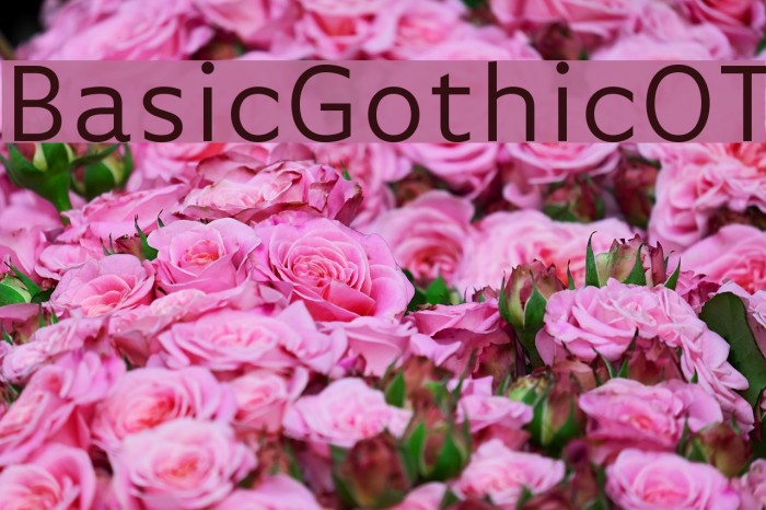 BasicGothicOT Example 2